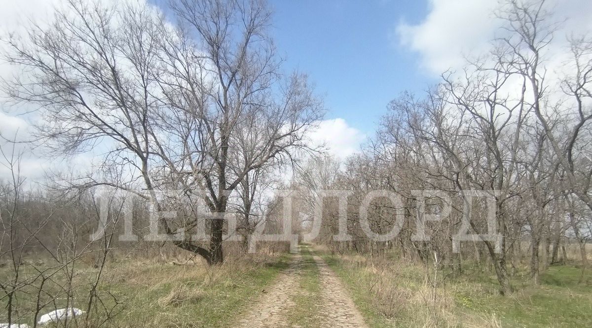 земля р-н Родионово-Несветайский х Волошино ул Северная фото 2