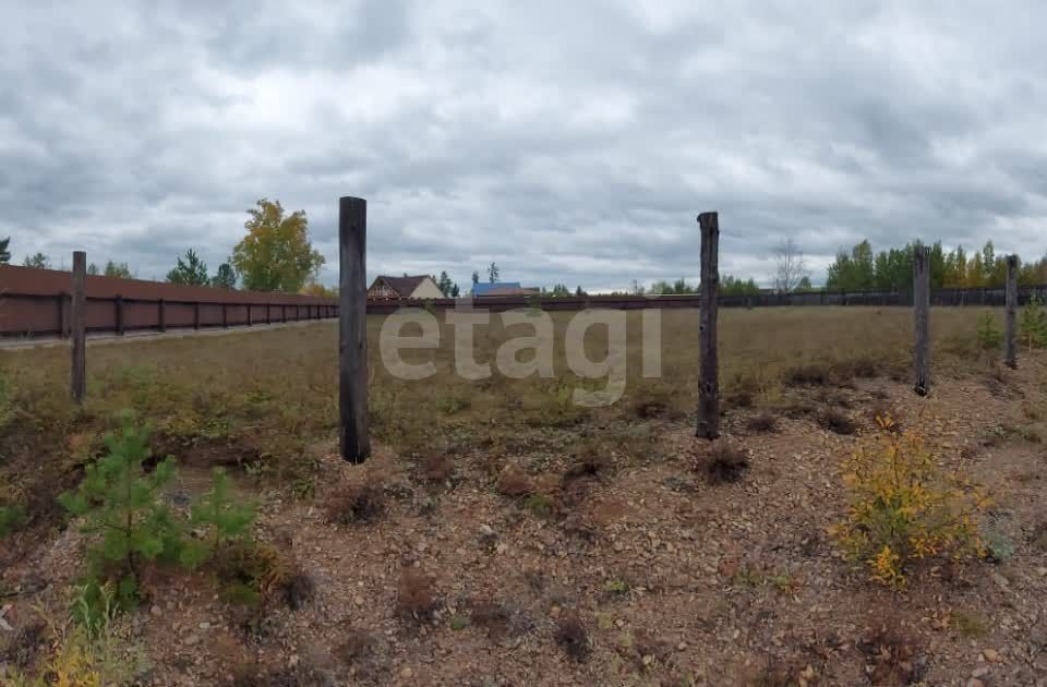 земля р-н Читинский ДНТ Шишкино-Остров фото 3