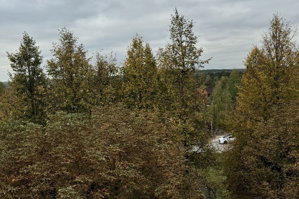 квартира городской округ Волоколамский д Федюково улица Строителей, 19, Подольск городской округ фото 4