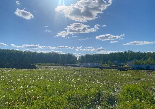 мкр Южные ключи Кременкульское сельское поселение, Челябинск, Заповедная ул фото