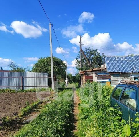 снт Текстильщик-1 садоводческое товарищество фото