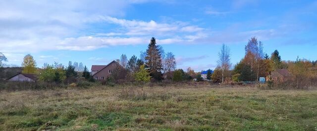 Дубровское городское поселение фото