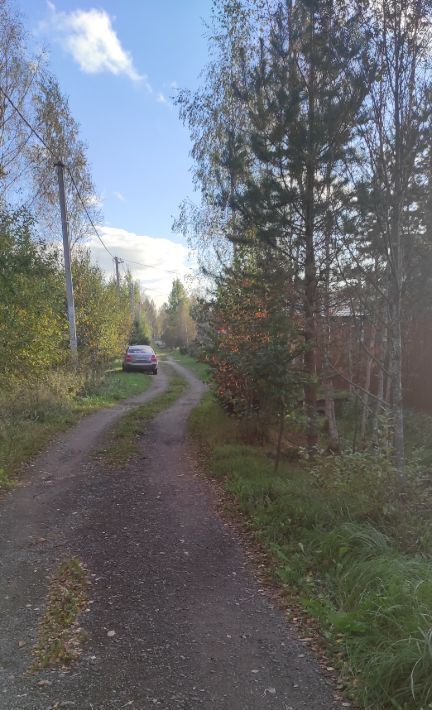 земля р-н Всеволожский массив Проба снт Солнечное Рахьинское городское поселение фото 2