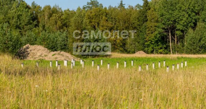 земля р-н Ломоносовский д Пеники Пениковское сельское поселение фото 4