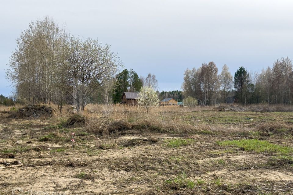 земля р-н Нижнетавдинский село Тюнево фото 5