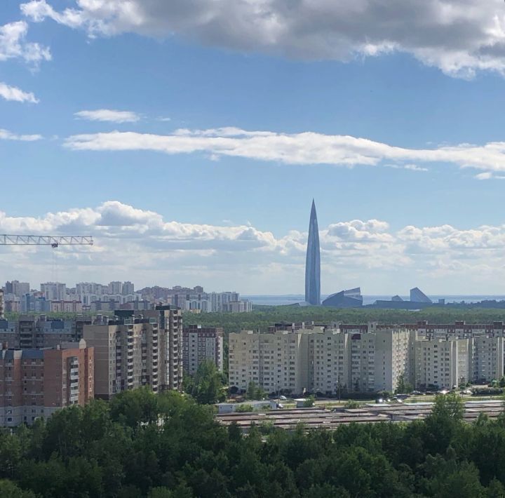 квартира г Санкт-Петербург метро Комендантский Проспект ул Нижне-Каменская 26 фото 4