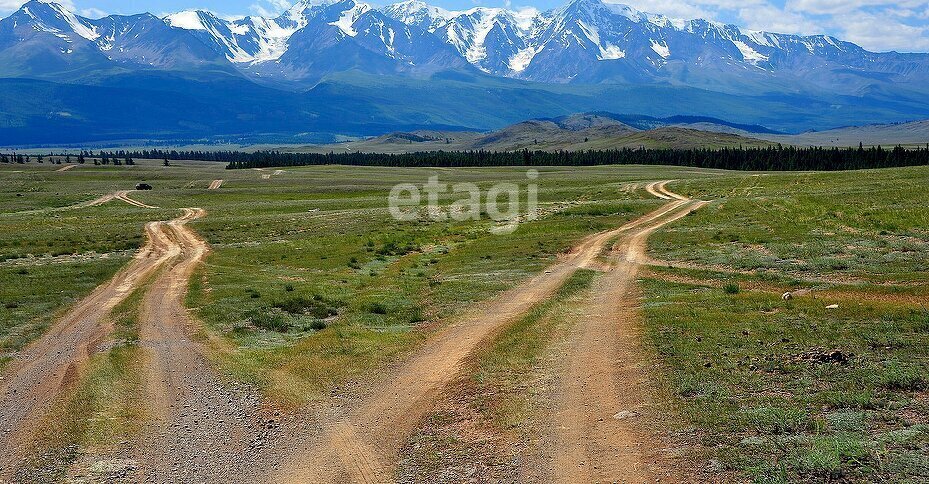 земля р-н Кош-Агачский с Курай фото 5