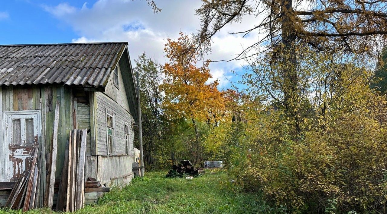 земля г Зеленогорск пер 2-й Загородный 10 Беговая фото 7