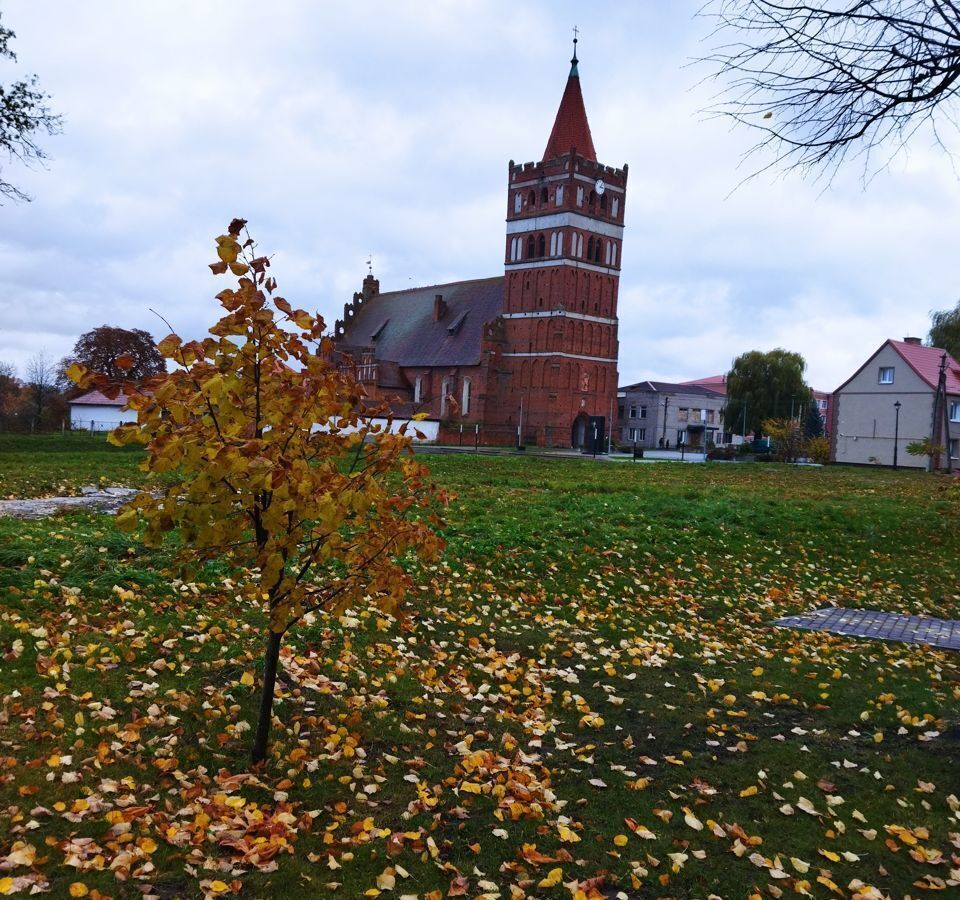 офис р-н Правдинский г Правдинск ул Столярная 3/9 фото 3