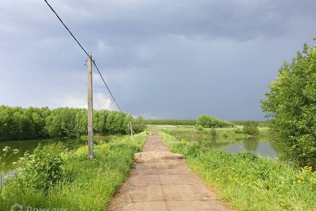 деревня Васильево фото