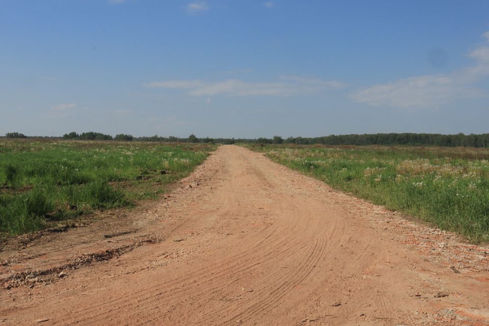 земля г Домодедово Белые Столбы, Домодедово городской округ фото 4