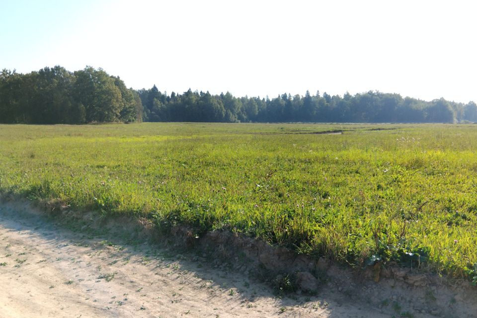 земля городской округ Пушкинский фото 4