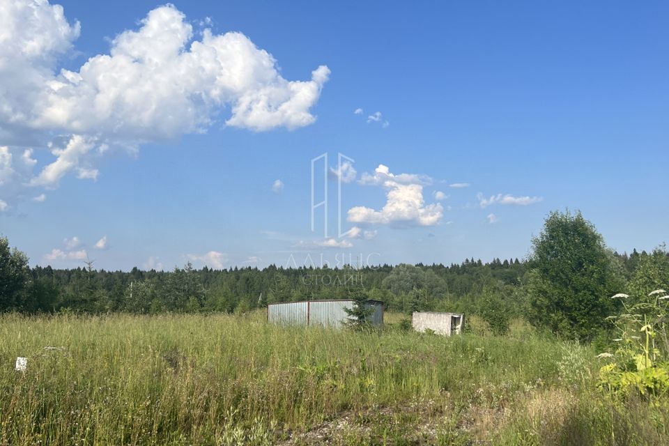 земля городской округ Истра территория ТСН СНТ Родник фото 7