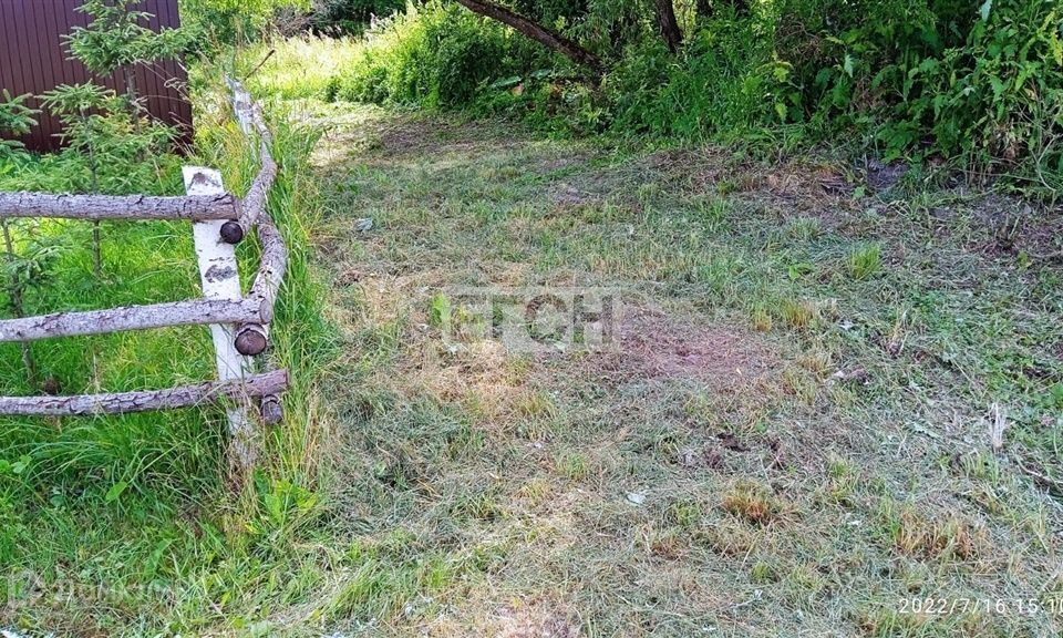 земля городской округ Рузский деревня Морево фото 7