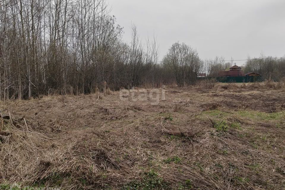 земля Коломна городской округ, Сергиевский фото 3