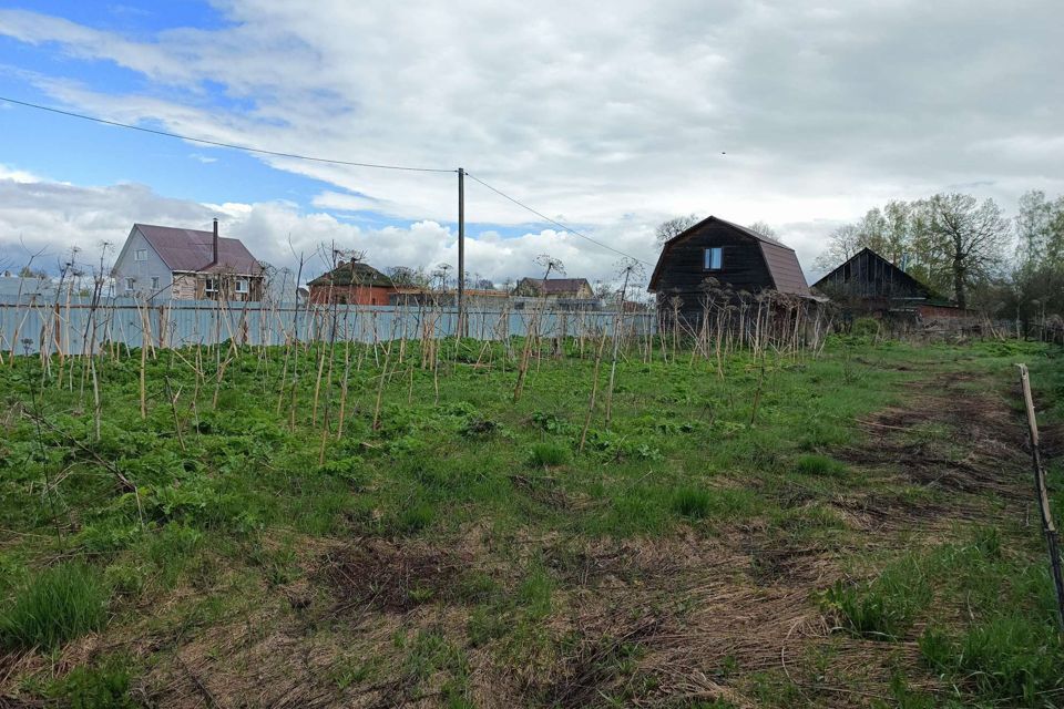 дом городской округ Пушкинский с Барково 49а фото 8