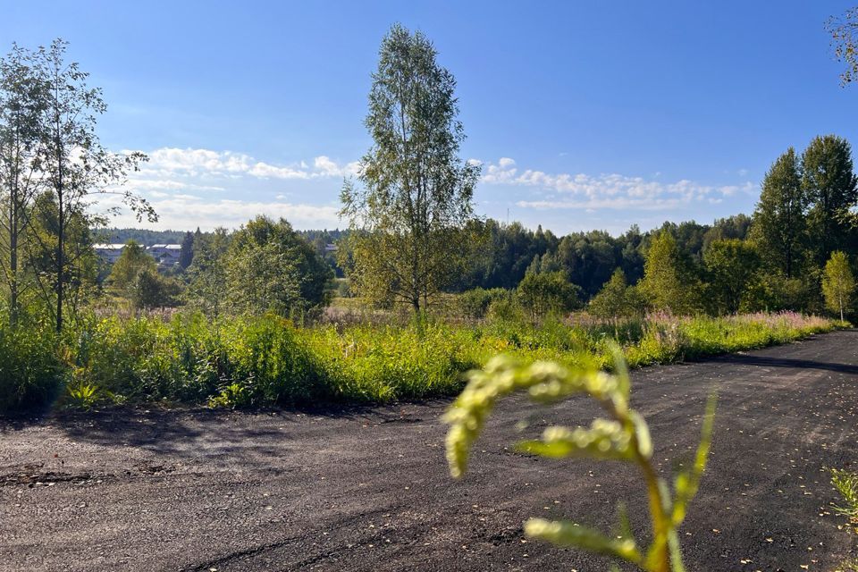 земля городской округ Дмитровский Ваньково фото 8