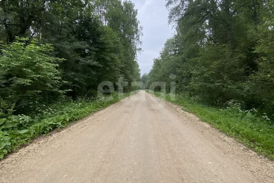 земля городской округ Дмитровский СНТ ТЭС фото 7