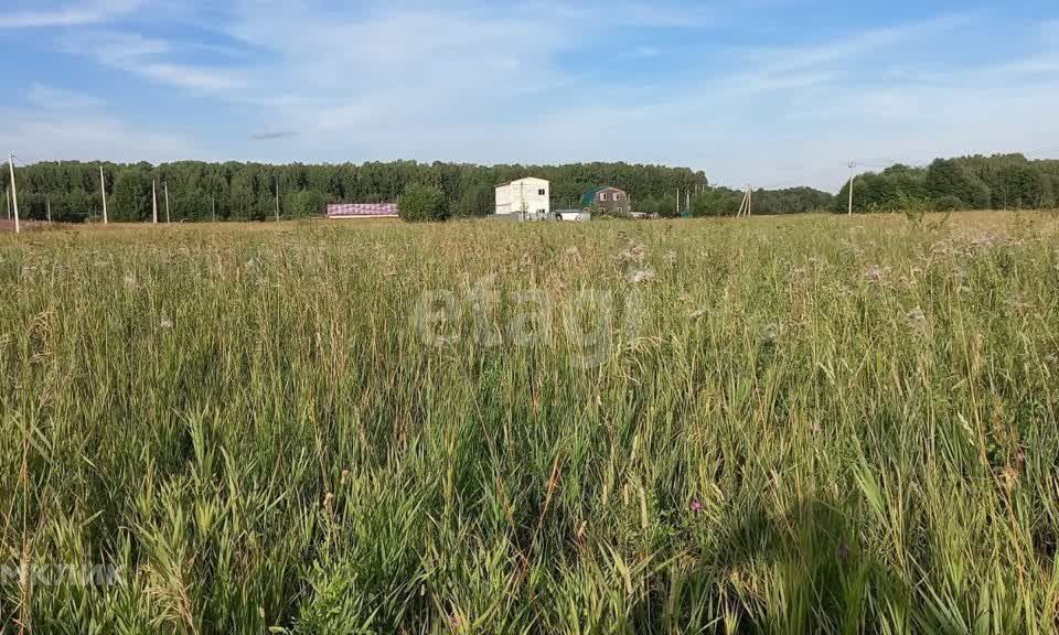 земля городской округ Дмитровский Василево фото 3