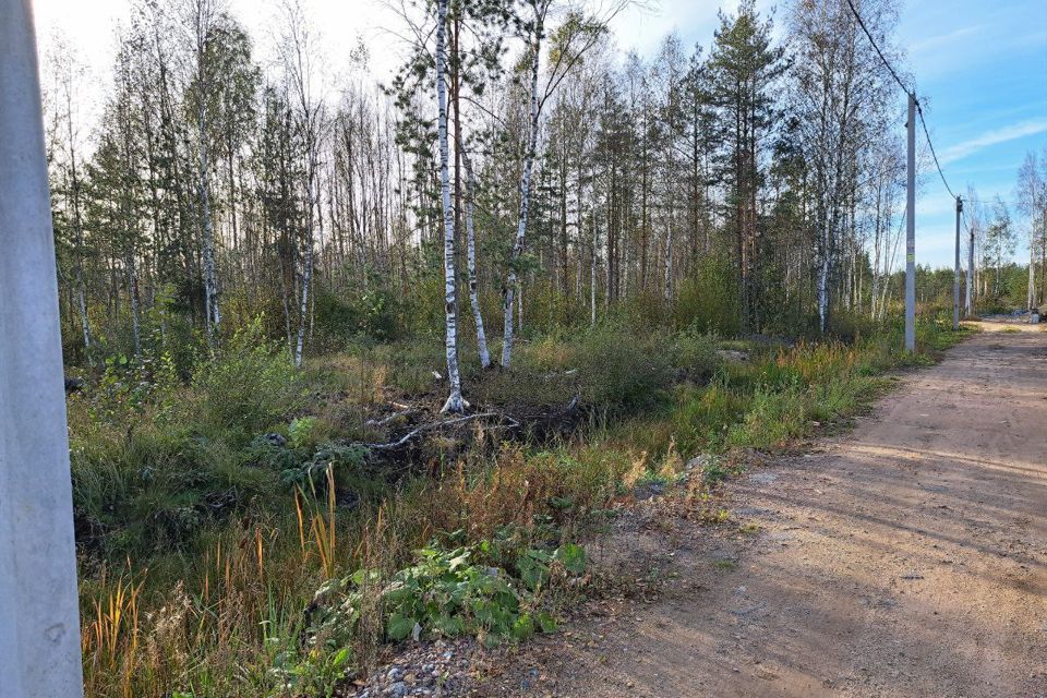 земля р-н Всеволожский СОСН Раздолье фото 2