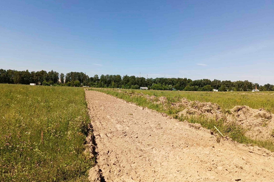 земля городской округ Пушкинский Братовщина фото 2