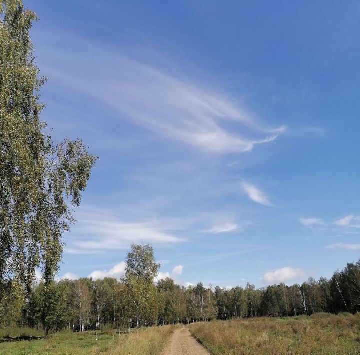 земля р-н Первомайский с Бобровка мкр Ладанка фото 1