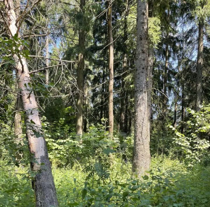 дом городской округ Мытищи д Голенищево Юпитер садовое товарищество, 119 фото 10