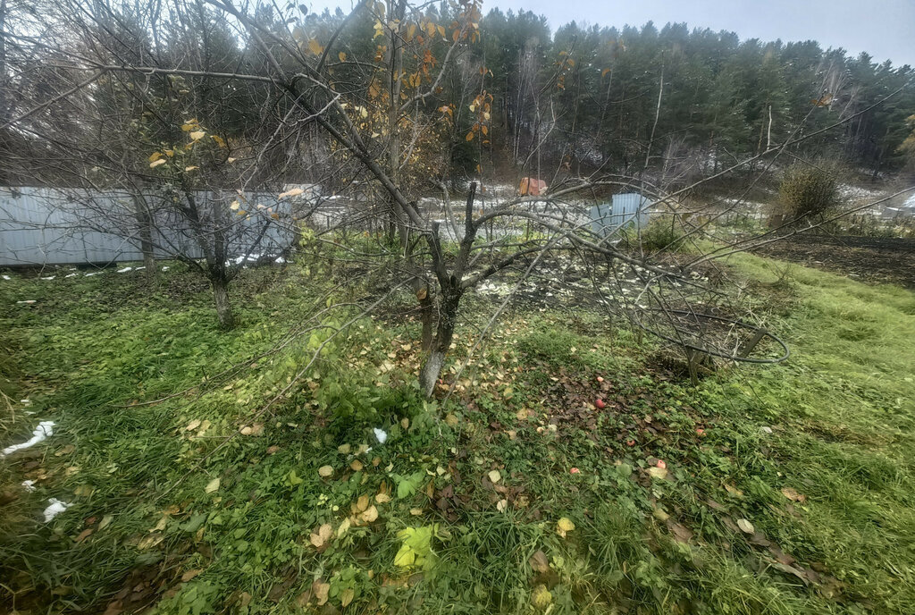 земля р-н Майминский с Соузга ул Лесная фото 5