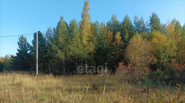 снт Родник Введенско-Слободское с/пос, 275 фото