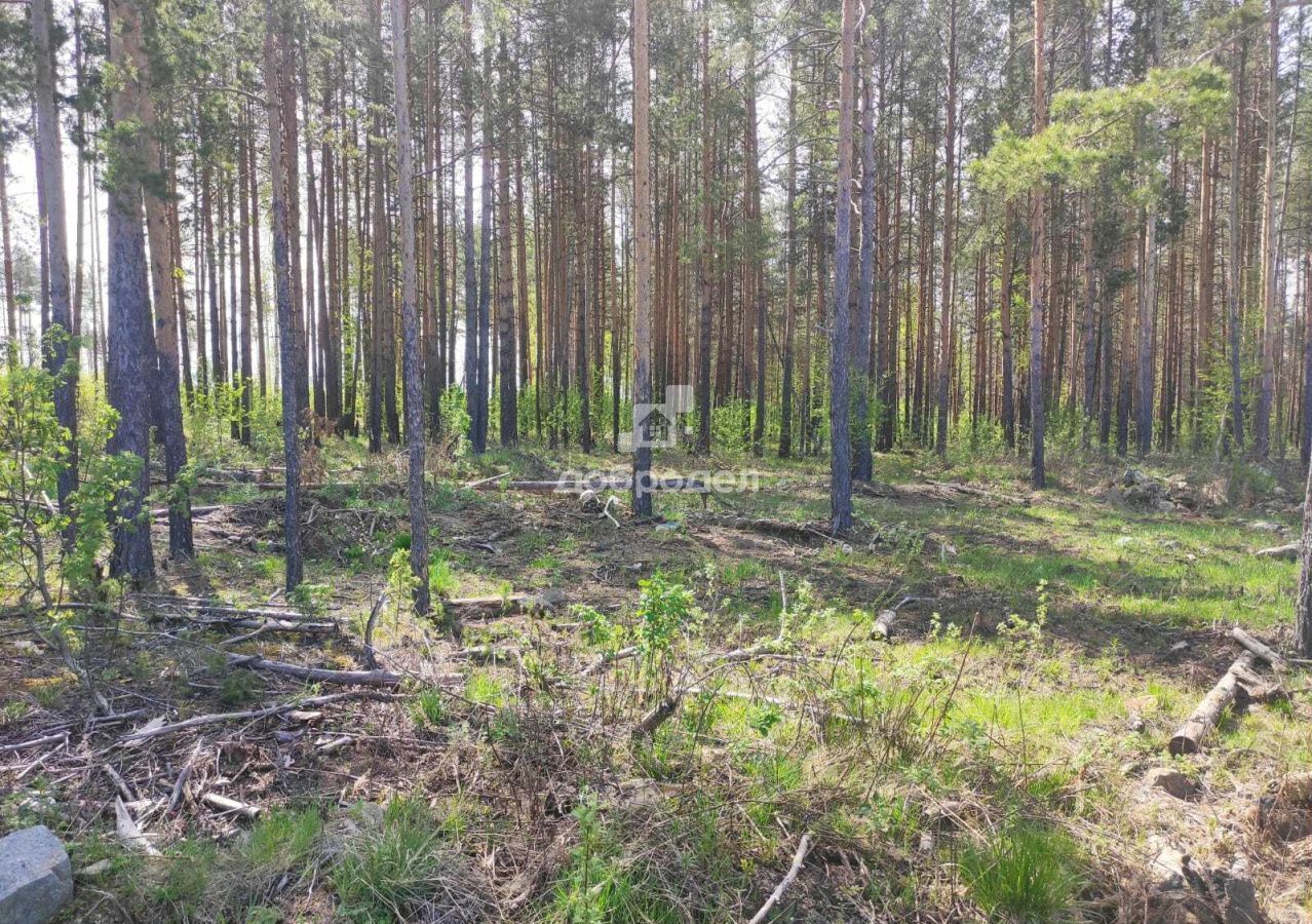 земля р-н Сысертский д Ключи ул Дачная ДНТ Чистые Ключи, Двуреченск фото 7