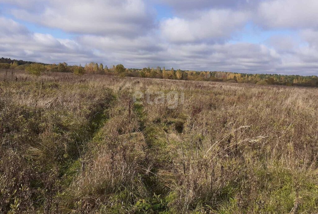 земля р-н Брянский с Журиничи ул Партизанская фото 9