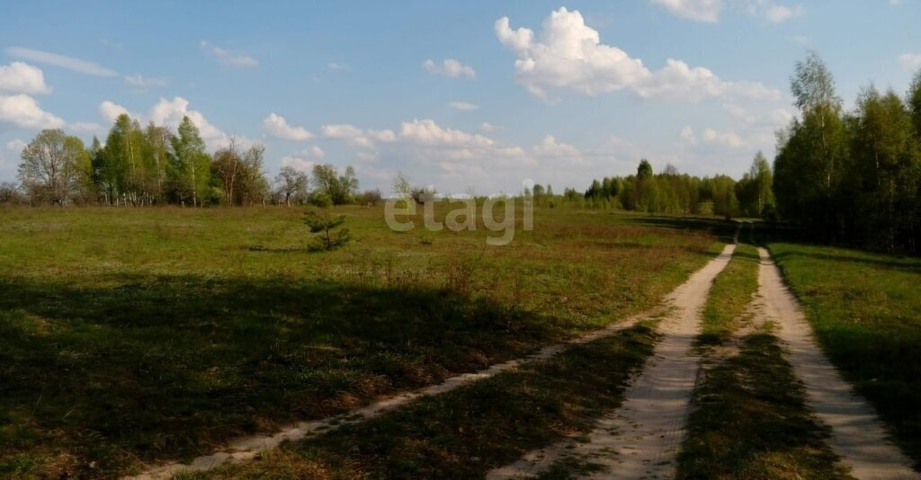 земля р-н Жуковский с Крыжино фото 10