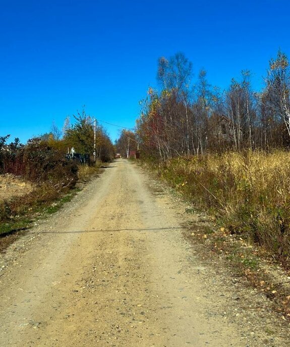 земля г Артем снт Золотая рыбка Артёмовский городской округ фото 1