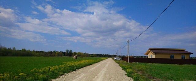 земля Клопицкое с/пос, Проспект Ветеранов фото