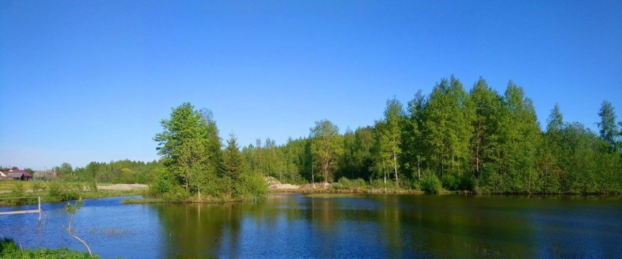 земля р-н Волосовский д Греблово Клопицкое с/пос, Проспект Ветеранов фото 3