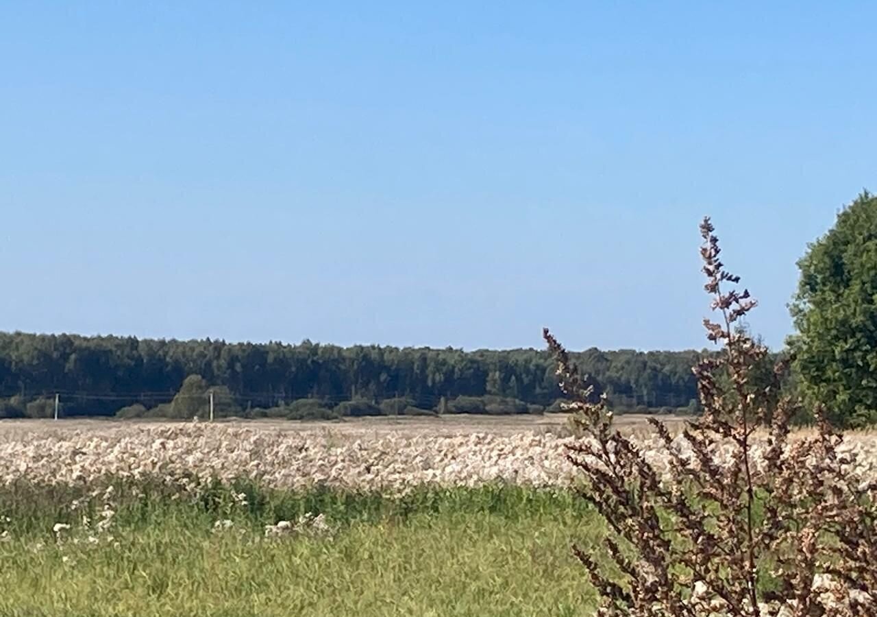 земля городской округ Сергиево-Посадский д Иваньково 9808 км, Богородское, Дмитровское шоссе фото 6