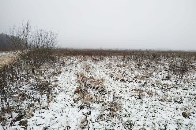 Кемеровская область — Кузбасс, СНТ Шахтостроитель, Новокузнецкий городской округ фото