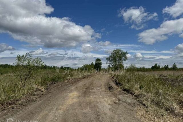 городской округ Тюмень, Центральный фото