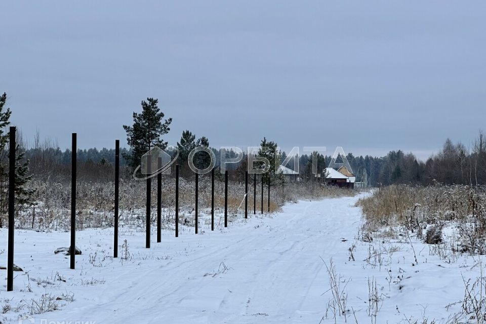 земля р-н Нижнетавдинский село Тюнево фото 4