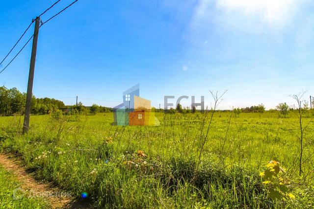 Тула городской округ, Ново-Струково, Овражная фото