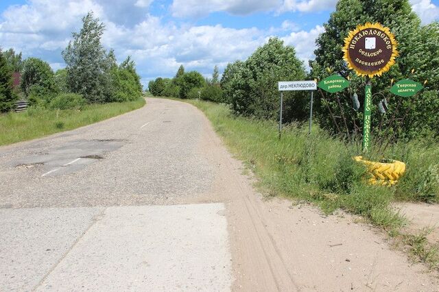 деревня Ново-Ивановское Неклюдовское сельское поселение фото