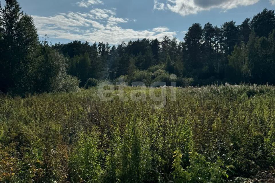 земля г Екатеринбург Екатеринбург городской округ, Малый Исток фото 4