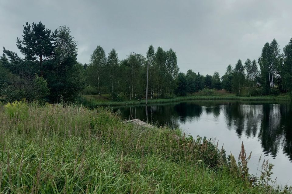 земля р-н Городецкий деревня Воловое фото 1