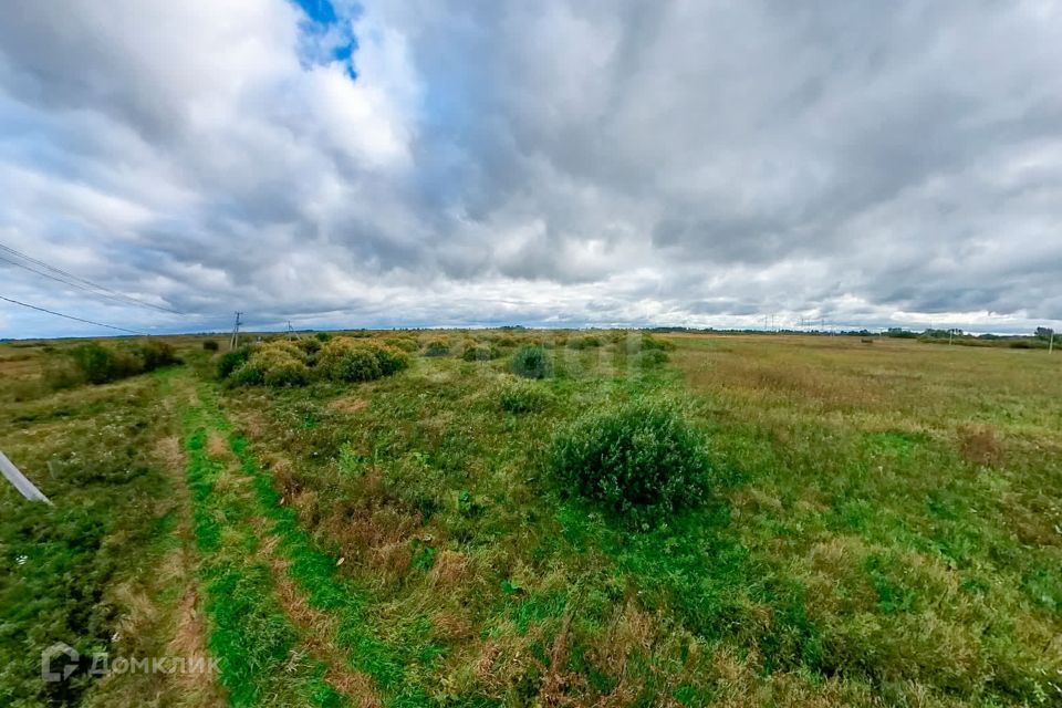 земля р-н Тюменский фото 3