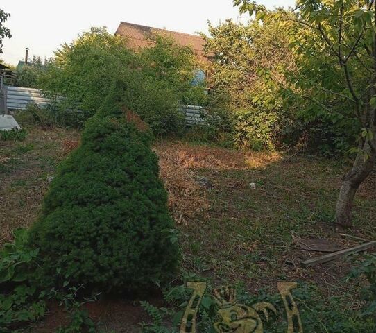 дачное некоммерческое товарищество Алмаз фото