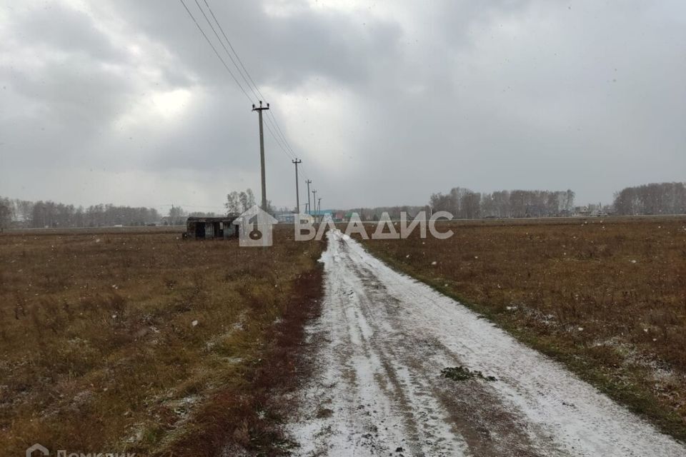 земля р-н Ордынский с Вагайцево ул Космонавтов фото 4