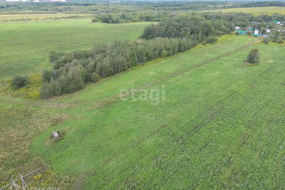 земля р-н Хабаровский село Матвеевка фото 4