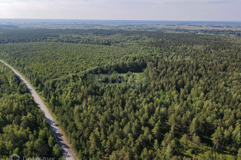 земля г Тюмень городской округ Тюмень, Червишевский тракт фото 6