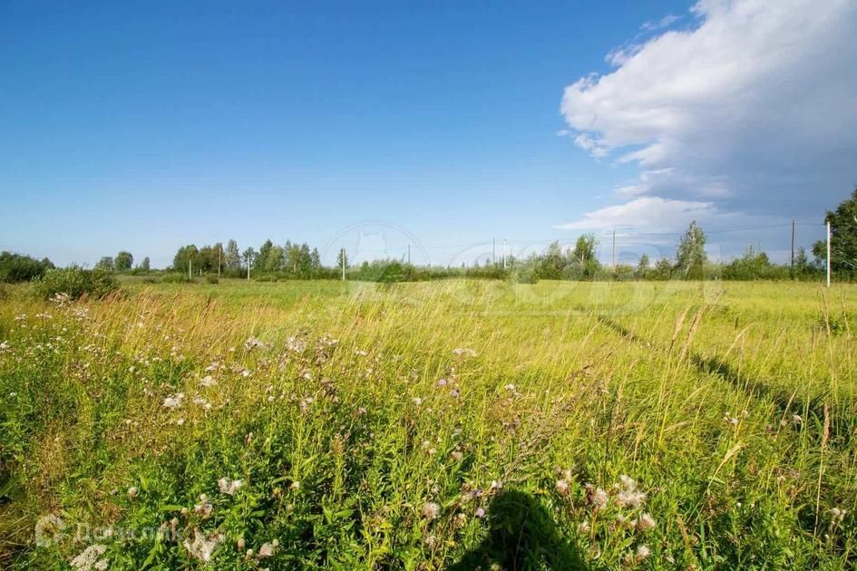 земля г Тюмень ул Центральная городской округ Тюмень фото 1