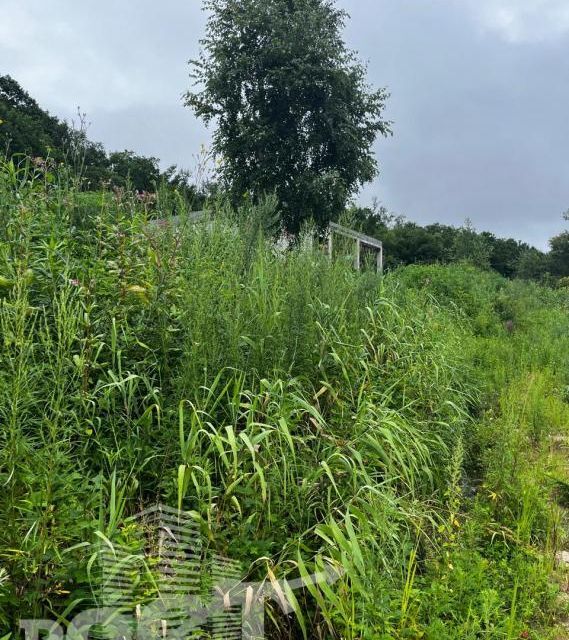 земля г Артем ул Гагарина Артёмовский городской округ фото 2